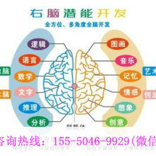 廈門學之源科技開發公司 專注早教教材與幼教產品，引領信息技術咨詢服務